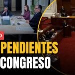 ELECCIONES PERÚ 2026: los pendientes del Congreso para tener comicios ordenados | Desde la Cúpula