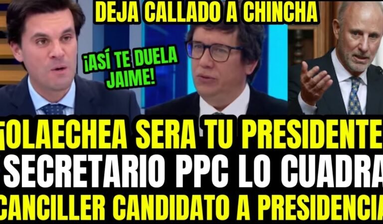 LO CUADRÓ! ABOGADO PPC DESAWEBA A CHINCHA POR CUESTIONAR A CANCILLER OLACHEA:POSTULARÁ A PRESIDENCIA