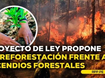 Proyecto de ley a la prevención y gestión de incendios forestales #ANDRPP | ENTREVISTA