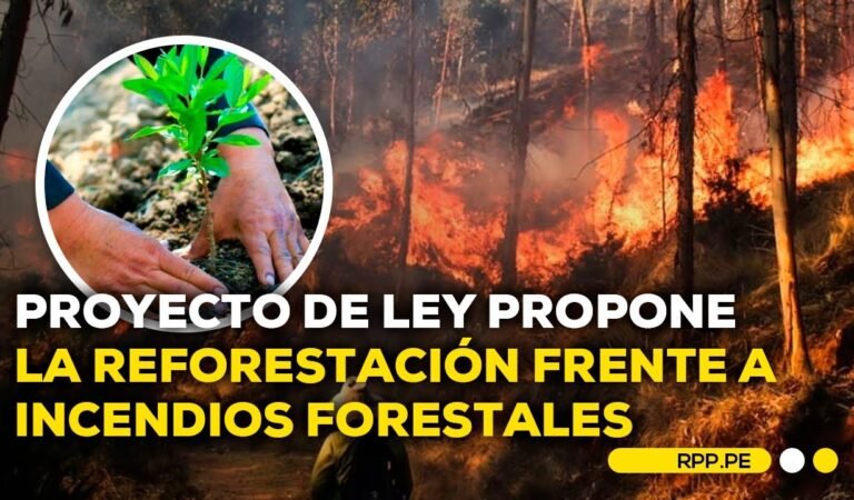 Proyecto de ley a la prevención y gestión de incendios forestales #ANDRPP | ENTREVISTA