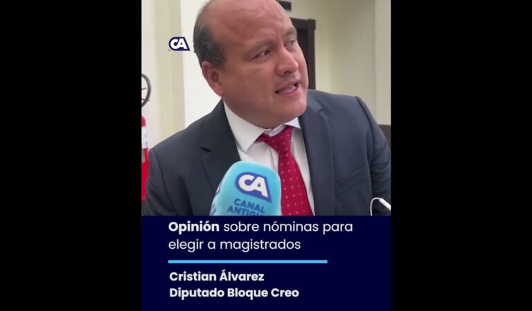 Cristian Álvarez: «No se puede seleccionar 240 candidatos a cortes»