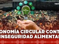 Inseguridad alimentaria en Perú: ¿cómo ayuda la economía circular a combatirla?