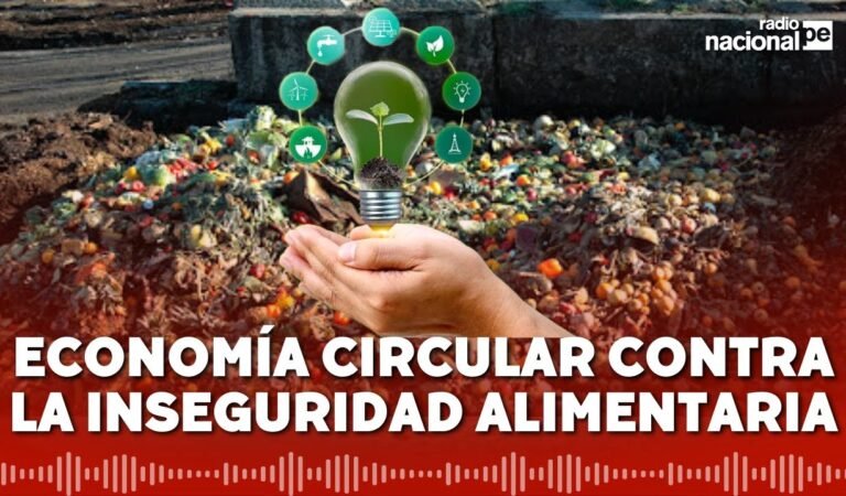 Inseguridad alimentaria en Perú: ¿cómo ayuda la economía circular a combatirla?