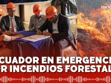 Indeci ayuda a Ecuador para damnificados de incendios forestales