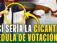 La gigante cédula de las elecciones 2026: Así sería la cédula 'sábana' de votación