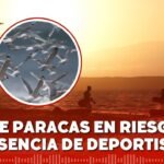 Paracas: deportistas en zonas protegidas afectan a aves migratorias en la Reserva Nacional