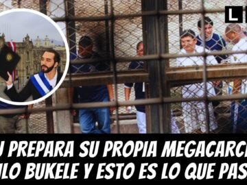 ELECCIONES 2026: los planes mas DUROS contra el crimen que podrian cambiar todo