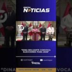 Perú renovara la selección de representantes