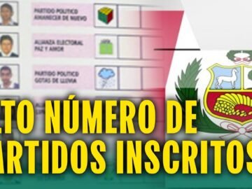Elecciones generales 2026: alto número de partidos inscritos